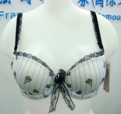 bra (bra)