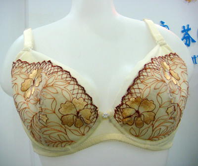 bra