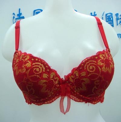 bra