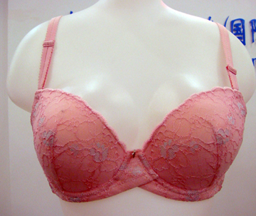 bra