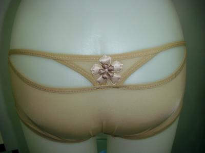 ladie`s panty