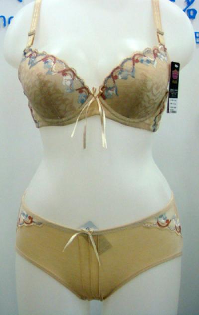 bra+panty set