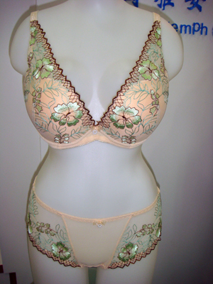 bra+panty set
