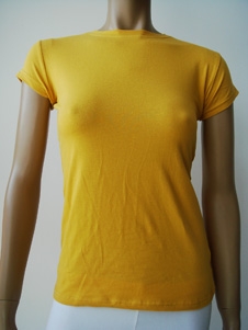 Ladies T-shirt (Ladies T-shirt)