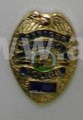 Metal Badge (Metall-Abzeichen)