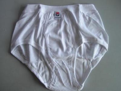 Briefs (Briefs)