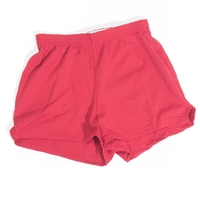 Cheerleader Shorts (Cheerleader Shorts)