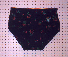 junior Briefs plain (Synthèses Junior plaine)