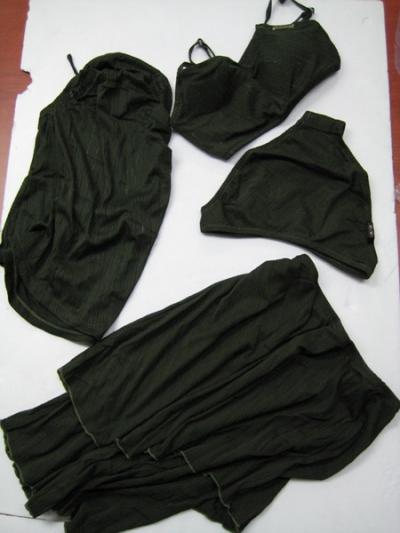 4piece Ladies Swimsuits (4piece Ladies Swimsuits)