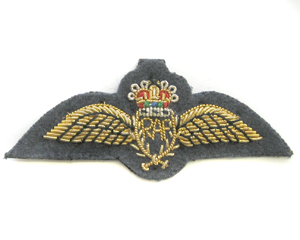 Hand Embroidery Bullion Blazer Wing Badges