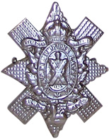 Metal Badge