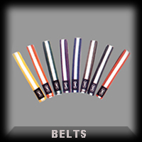 Martial Arts Belt (Единоборства Пояс)