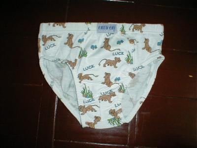 briefs