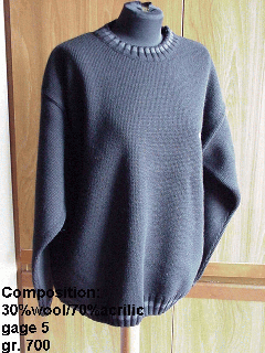 Fashion Sweater (Fashion Sweater)