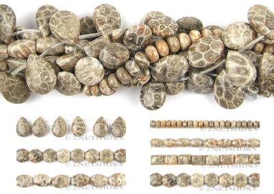 Fossil Coral Beads (Fossil Coral Beads)