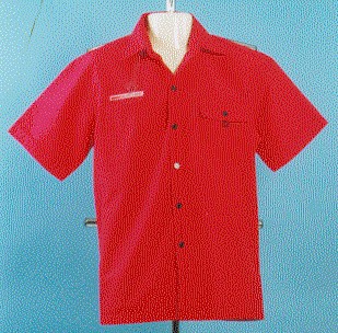 Short Sleeve Fashion Shirt (Кратко моды рукав рубашки)