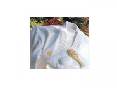 Bathrobe (Bathrobe)