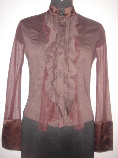 Ladies` Blouses (Ladies` Blouses)