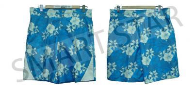 Beach Shorts (Beach Shorts)
