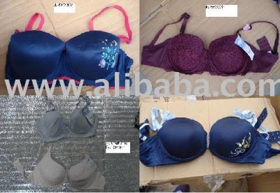 Women`s Bra