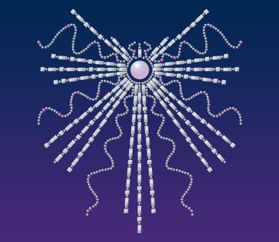 Star Rhinestones (Star strass)