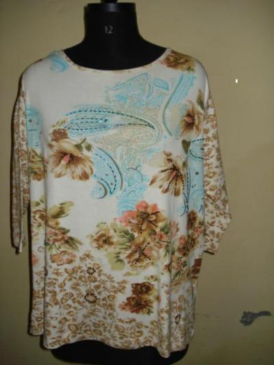 Ladies` Blouses (Ladies` Blouses)