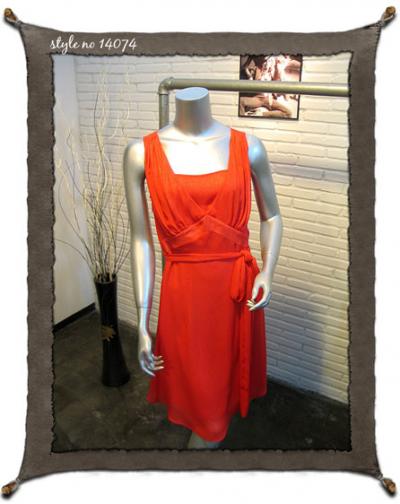 Chiffon Dress