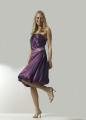 Evening Dresses Bridal Dresses Prom Dresses Bridesmaid Dresses (Evening Dresses Bridal Dresses Prom Dresses Bridesmaid Dresses)