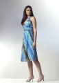 Evening Dress (Evening Dress)
