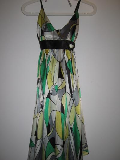 Women Printed Dress (Женщины Печатный платье)