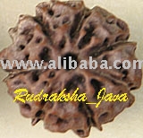 Seven-Faced Rudraksha Java Bead (Seven-Faced Rudraksha Java-Perle)