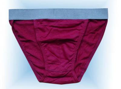 Tanga Briefs (Tanga Briefs)