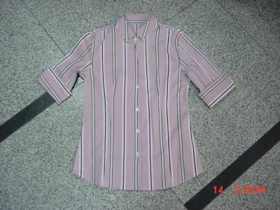 Lady`s Woven Blouse (Lady`s Woven Blouse)