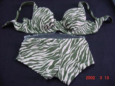 Lady`s Underwear (Lady`s Underwear)