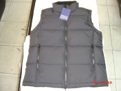 Down Vest (Down Vest)