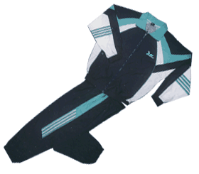 Men`s 100%Polyester Micro Track Suit (Men `s 100% Polyester Micro Track Suit)