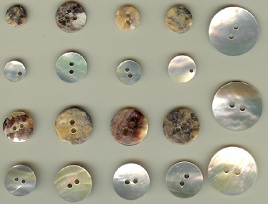 Shell Buttons (Shell Buttons)