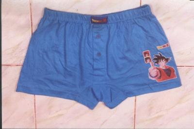 Knitted Boxer Boys Shorts (Knitted Boxer Boys Shorts)
