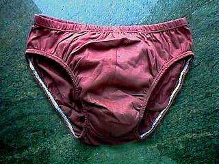 Briefs (Slips)