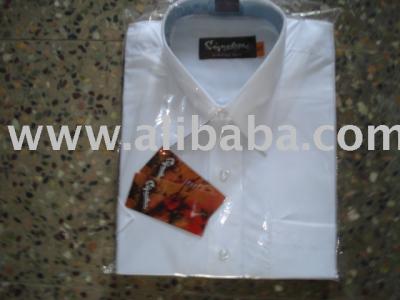 Men`s Shirts (Men`s Shirts)