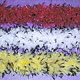 CHandle Boa (CHandle Boa)
