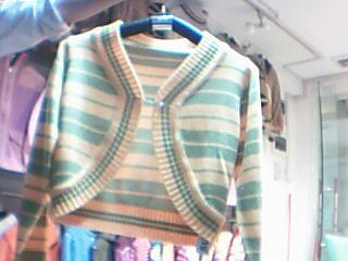Lady`s Sweater (Lady `s Sweater)