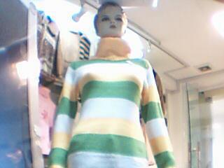 Lady`s Sweater (Lady `s Sweater)