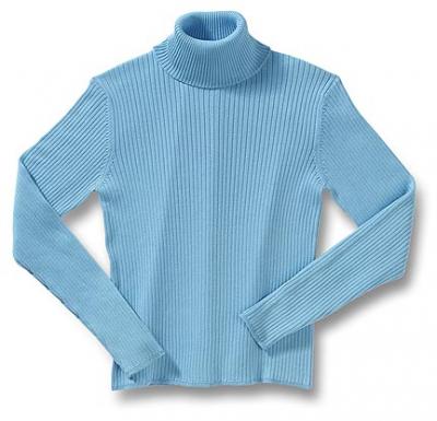 Lady`s Sweater (Lady`s Sweater)