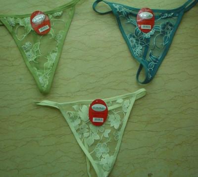 Lady`s Brief