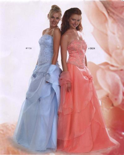Evening Dress (Evening Dress)