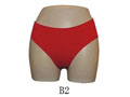 Lady`s Seamless Brief (Lady `s Seamless Brief)