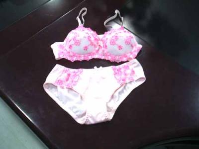 Ladies Underwear (Damen-Unterwäsche)