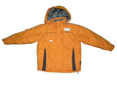 Men`s Padded Jacket (Men`s Padded Jacket)