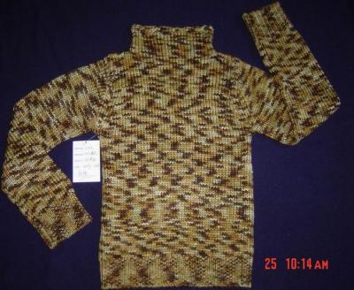 Children`s Sweater